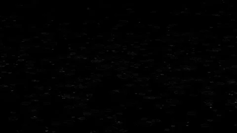 Rain Drops and Ripples on Black Background Stock Footage 296664076