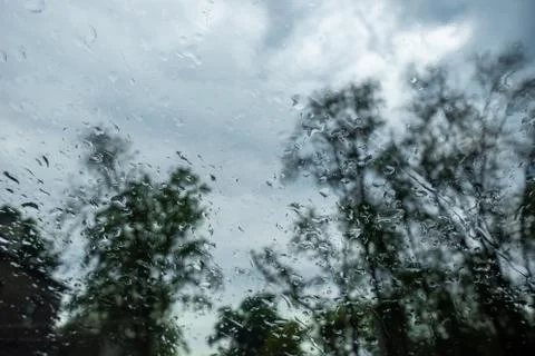 Rain drops and splashes on a window glass, reflection of trees and clouds. Stock Photos