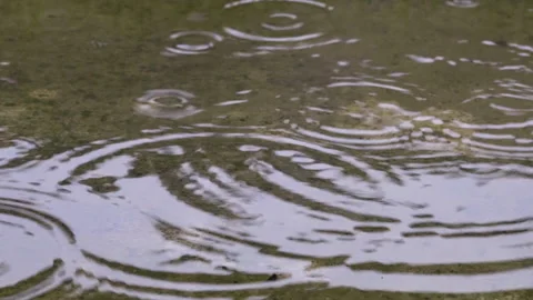 Rain drops are falling into puddles Stock Footage 229687293