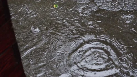 Rain drops on the asphalt, puddle on the street Stock Footage 155356223