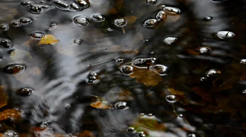 Rain drops in an autumn puddle Stock Footage 35854171