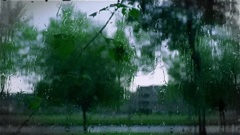 Rain drops background 1 Video stock 77766290