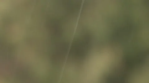 Rain Drops Background Stock Footage 48980472