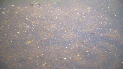 Rain drops background Stock Footage