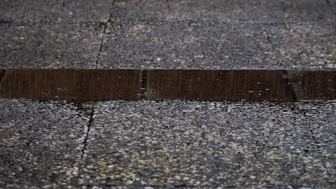 Rain drops background Stock Footage 77539873