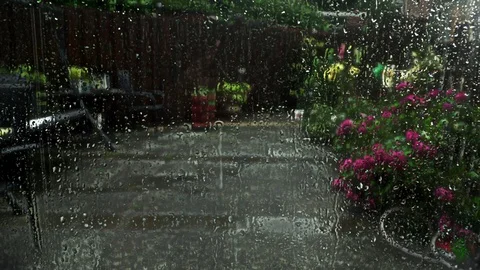 Rain drops background Stock Footage 77544693