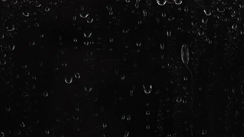 Rain drops on black background Stock Footage 133109003