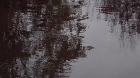 Rain drops on black water Stock Footage 100137538