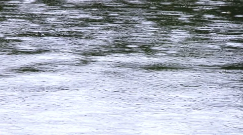 Rain drops on body of water 2 Video stock 50415212