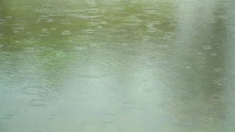 Rain drops on a calm lake Stock Footage 107155374