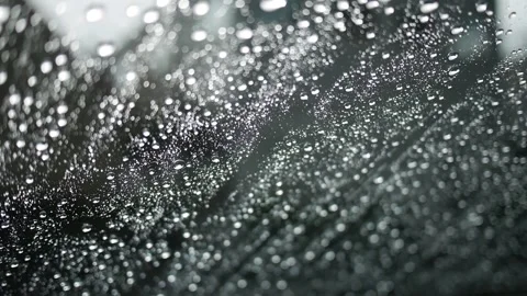 Rain drops on a car window Stock Footage 319497887