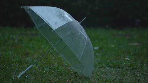 Rain drops on a clear umbrella On the green lawn.shallow focus effect. Video stock 129374075