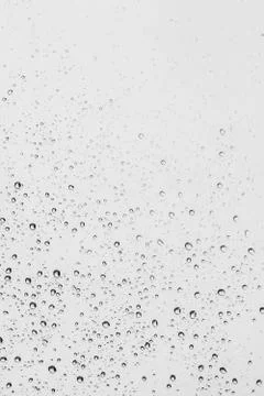 Rain drops on clear window Stock Photos