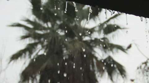 Rain Drops Clip 3 Video stock 312418