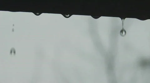 Rain Drops Clip 6 Video stock 312901