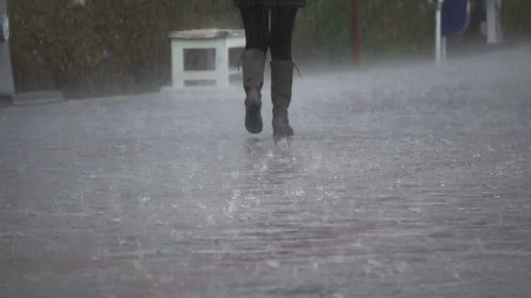 Rain drops close up  Stock Footage 71354245