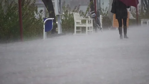Rain drops close up  스톡 동영상 71354296