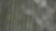 Rain Drops Close Up. Raining Background. Rainy Day. Wet Weather. Season Stock Footage