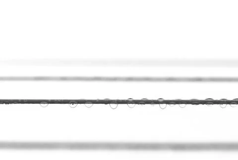 Rain drops on clothes line Stock Photos