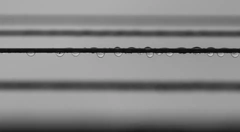 Rain drops on clothes line Foto stock