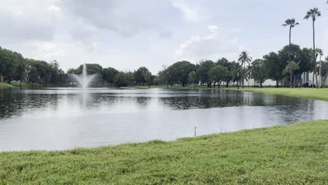 Rain Drops Creating Rings on Lake Water, Fountain and Palm Trees, Miami, 4K Stock Footage 340829266