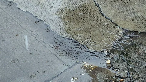 Rain Drops Creating Ripples in Wet Pavement Puddle Stock Footage 343082811