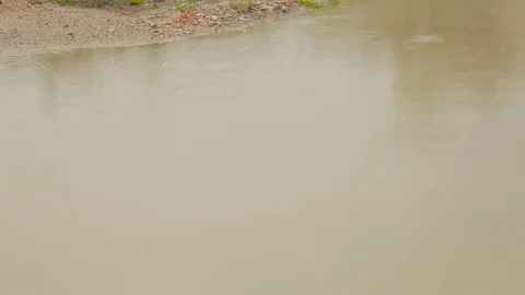 Rain drops on dirty water Stock Footage 71989594