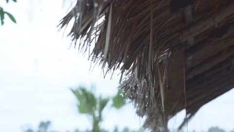 Rain drops down from the grass. 스톡 동영상 157369729