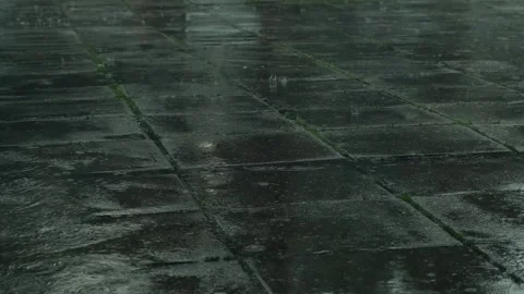 Rain drops dripping in puddle. Heavy water droplets falling on asphalt on the Stock Footage 254406400
