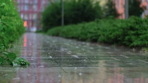 Rain drops dripping in a puddle on the road. Heavy water droplets falling on Stock Footage 251738832
