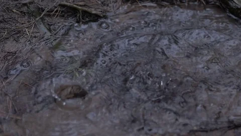 Rain drops dripping in a puddle - slow motion 4K Stock Footage 75056553