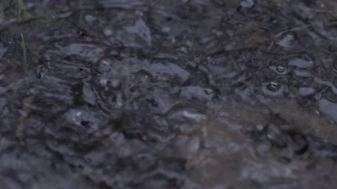 Rain drops dripping in a puddle - slow motion 4K Stock Footage 75056559