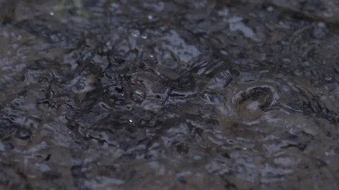 Rain drops dripping in a puddle - slow motion Stock Footage 75056572