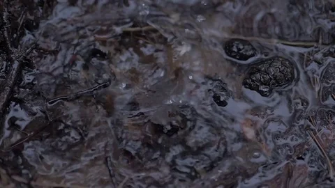 Rain drops dripping in a puddle - slow motion Stock Footage 75056649