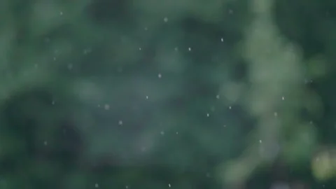 Rain drops drops fall in slow motion in the garden rainy day background Видео 100987121