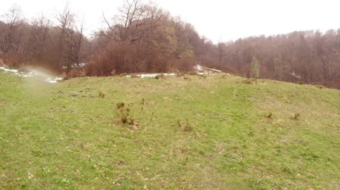 Rain Drops Fall on the Green Carpet of Grass on the Edge of the Forest Panorama Stock Footage 63954727