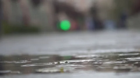 Rain drops fall in a puddle on the asphalt Stock Footage 82454508
