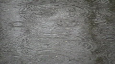 Rain drops fall into puddle creating water ripples (High Definition) Stock Footage