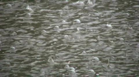 Rain drops fall into puddle creating water ripples (High Definition) Stock Footage 360211