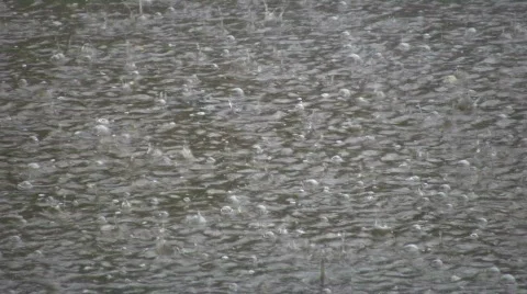 Rain drops fall into puddle creating water ripples (High Definition) Stock Footage 360251