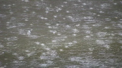 Rain drops fall into puddle creating water ripples (High Definition) Stock Footage