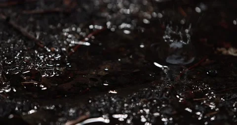Rain Drops Fall Into Puddle Creating Water Ripples Stock Footage 153402856
