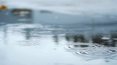 Rain drops fall into a puddle creating water ripples Stock Footage 333875002