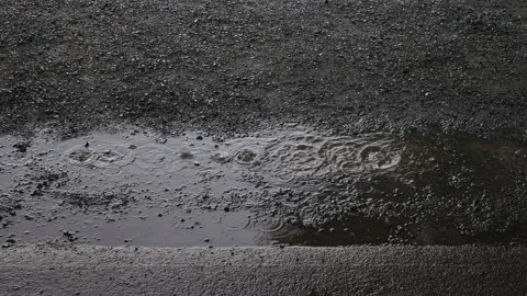 Rain drops fall into puddle Stock Footage 141468013