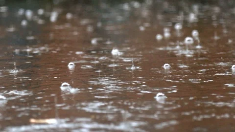 Rain drops fall into puddles Raindrops on the water surface, a puddle close-u Stock Footage 108264308