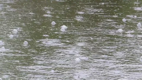 Rain drops fall on the water bulbs appear Stock Footage 157713823