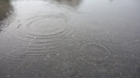 Rain drops fall into the water. Sad rainy weather. Stock Footage 80552877