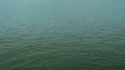 Rain drops fall on water surface of pond, lake or river Stock Footage 88108074