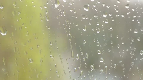Rain drops fall on window glass with trees outside Stock-Footage 152833883