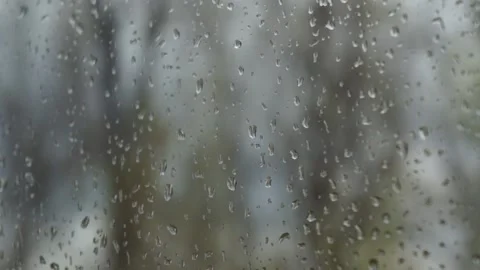 Rain drops fall on window glass with trees outside Stock-Footage 152833886